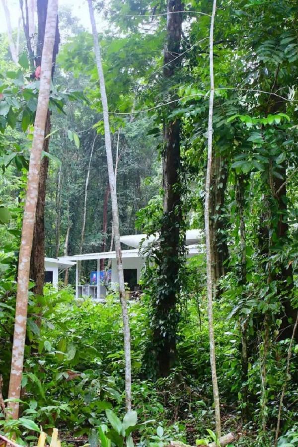 Casa Eden - Modern Peaceful Jungle Apartments Cocles Eksteriør billede