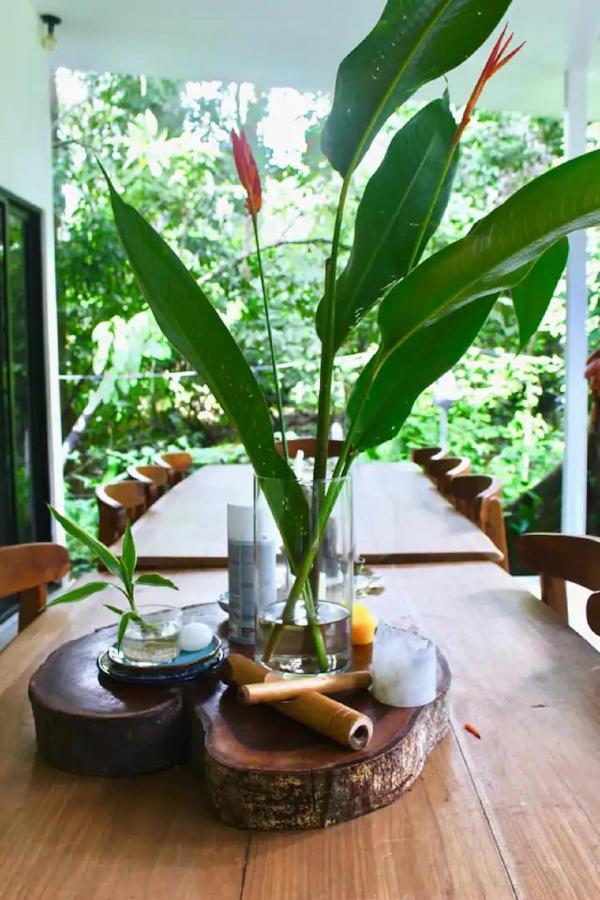 Casa Eden - Modern Peaceful Jungle Apartments Cocles Eksteriør billede