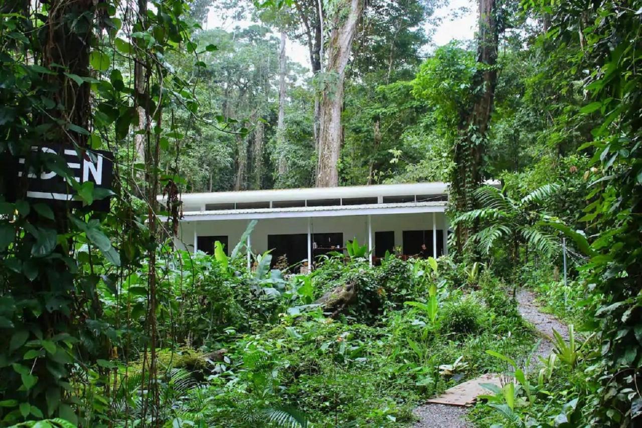 Casa Eden - Modern Peaceful Jungle Apartments Cocles Eksteriør billede