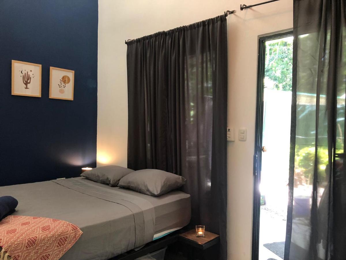 Casa Eden - Modern Peaceful Jungle Apartments Cocles Eksteriør billede