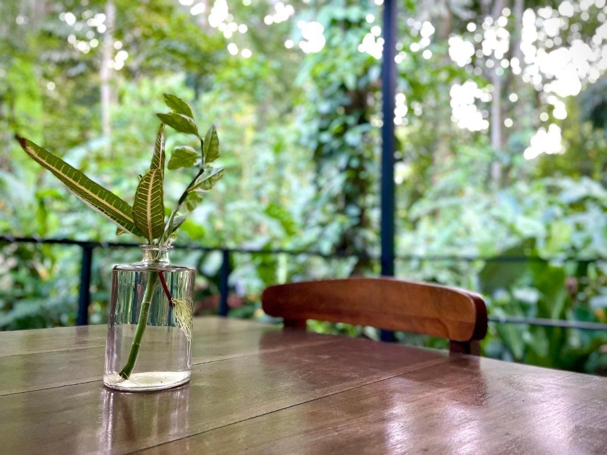 Casa Eden - Modern Peaceful Jungle Apartments Cocles Eksteriør billede
