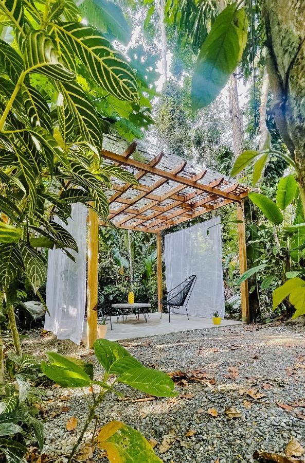 Casa Eden - Modern Peaceful Jungle Apartments Cocles Eksteriør billede