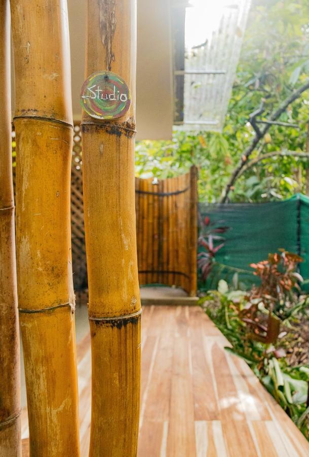 Casa Eden - Modern Peaceful Jungle Apartments Cocles Eksteriør billede