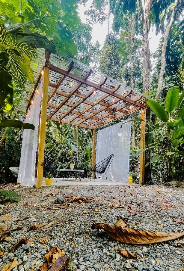 Casa Eden - Modern Peaceful Jungle Apartments Cocles Eksteriør billede