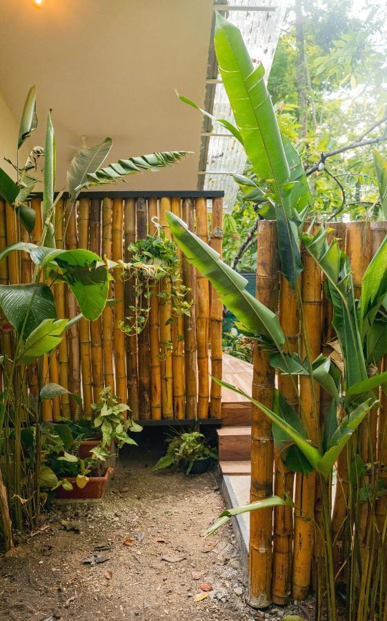 Casa Eden - Modern Peaceful Jungle Apartments Cocles Eksteriør billede