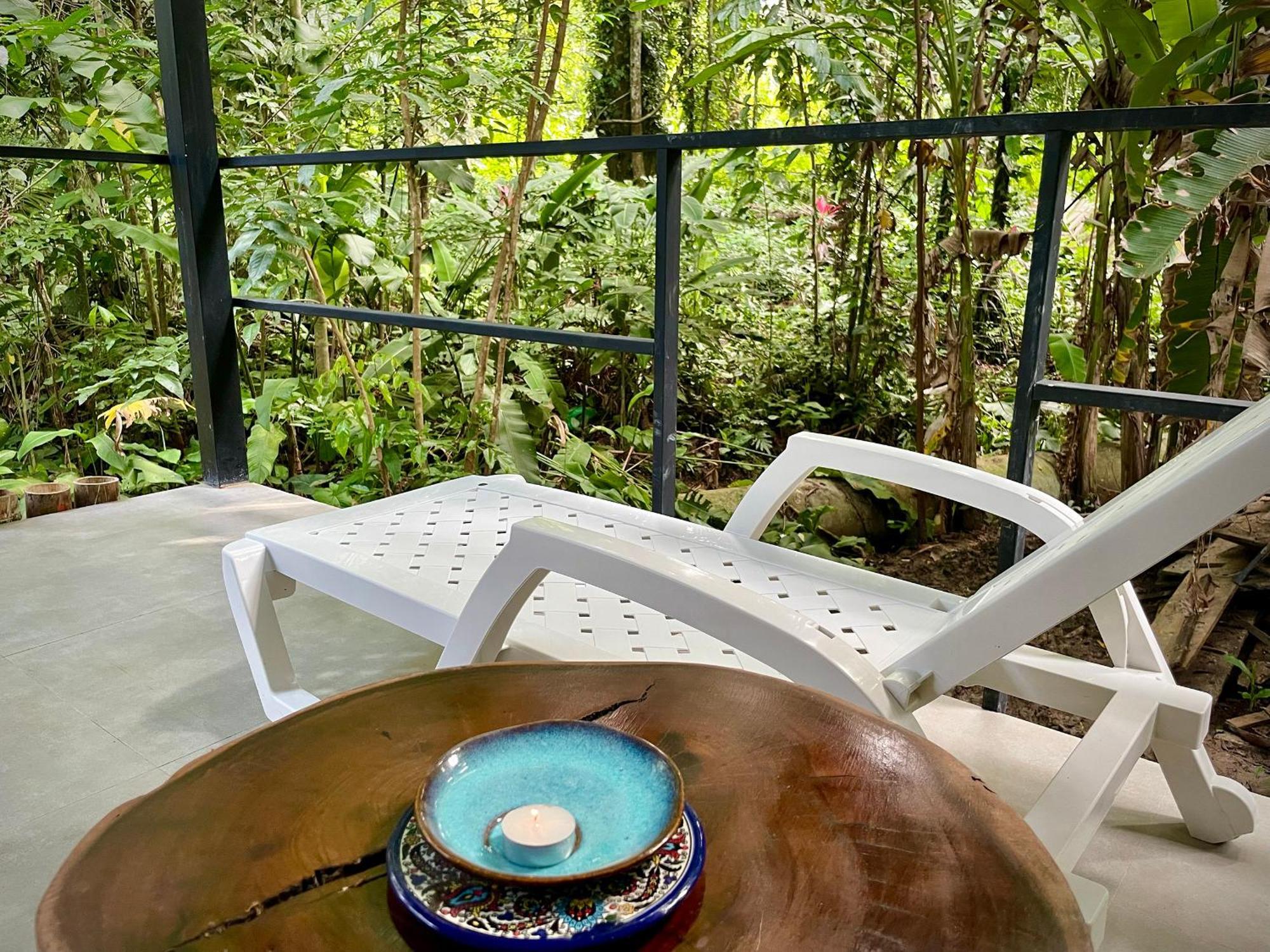 Casa Eden - Modern Peaceful Jungle Apartments Cocles Eksteriør billede