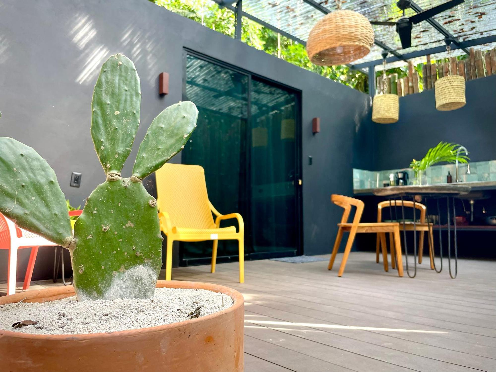 Casa Eden - Modern Peaceful Jungle Apartments Cocles Eksteriør billede
